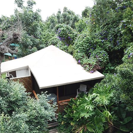 Mali Boutique Lodge & Tube 'N Axe Budget Accommodation Stormsrivier Camera foto