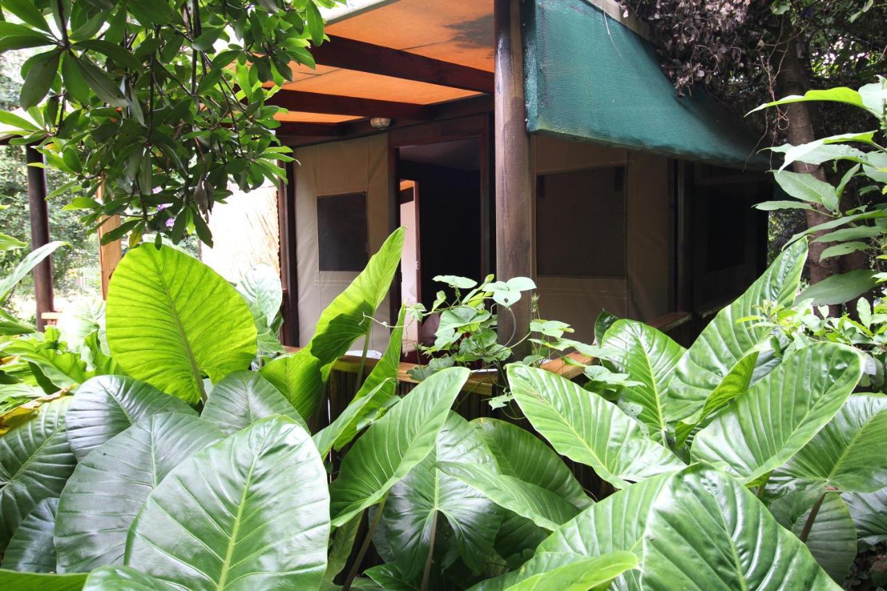 Mali Boutique Lodge & Tube 'N Axe Budget Accommodation Stormsrivier Esterno foto